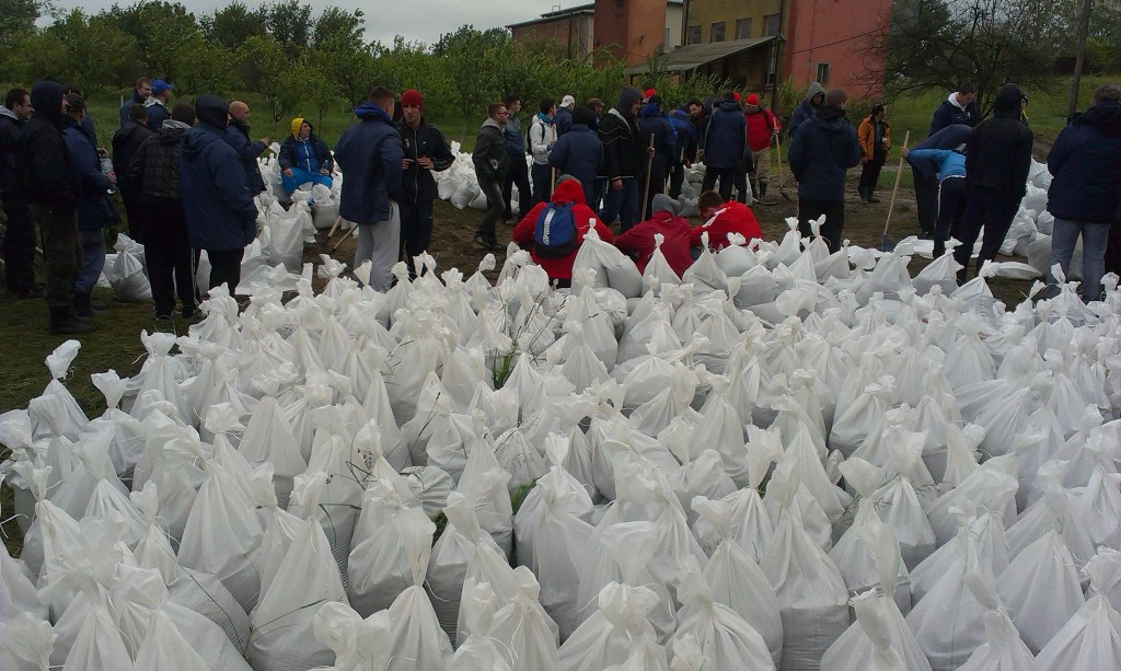 10388862_10151985837331486_1937248820_o